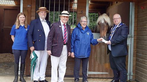 Oxfordshire/England - Horse gifted in memory of late wife